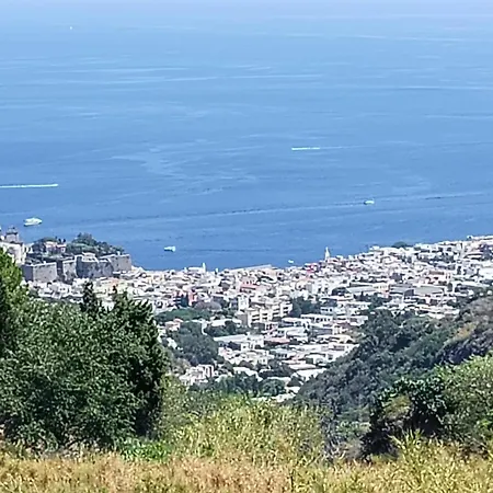 La Terrazza Sul Vulcano Appartement